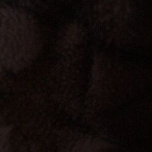 Meet your Posher, Jami